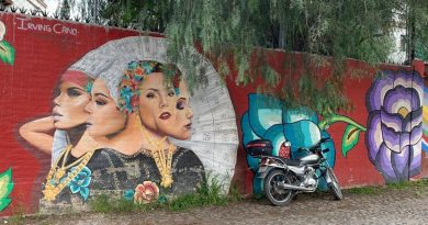 Art Highlights Divisions in the Colonia Guadalupe
