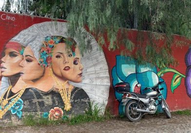 Art Highlights Divisions in the Colonia Guadalupe